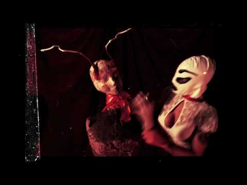 Profilový obrázek - Sólstafir - "She Destroys Again" Official Music Video