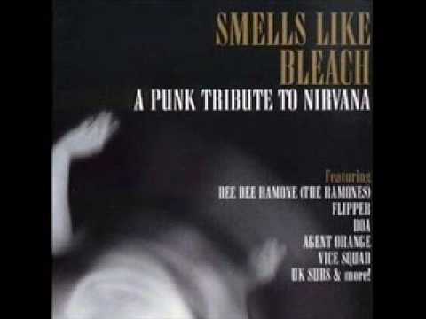 Profilový obrázek - Stay Away by UK Subs - Smells Like Bleach; A Punk Tribute To Nirvana