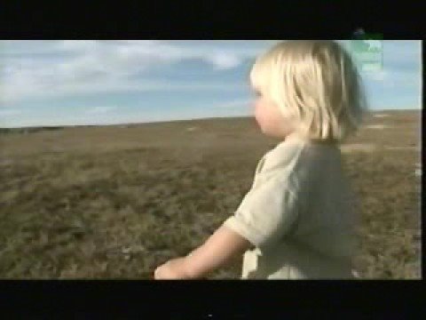 Profilový obrázek - Steve Irwin's Great Escape : USA (Part 1)