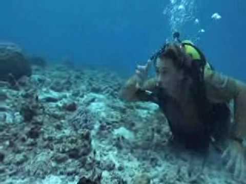 Profilový obrázek - Steve Irwin's Ocean's Deadliest -Part 1