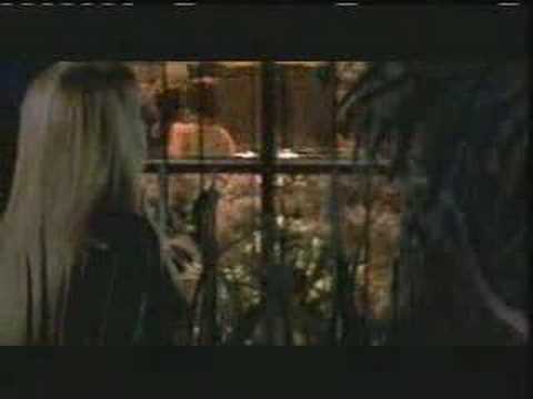 Profilový obrázek - Stevie Nicks & Sheryl Crow - If you ever did believe