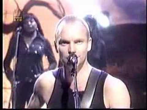 Profilový obrázek - Sting-I was brought to my senses(Live)