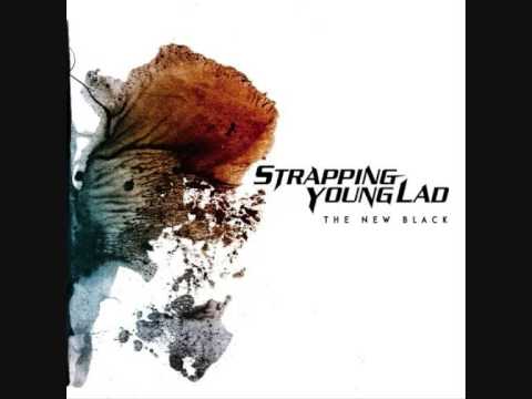 Profilový obrázek - Strapping Young Lad - Far Beyond Metal