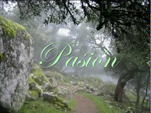 Profilový obrázek - Stravaganzza - Pasión (versión orquestal)