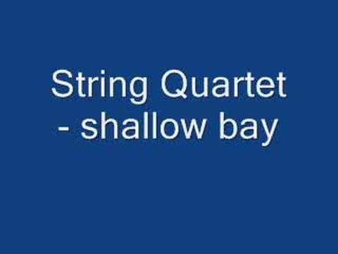 Profilový obrázek - String Quartet Tribute To Breaking Benjamin-Shallow Bay