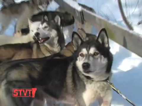Profilový obrázek - Stuck in Vermont 110: Dog Sledding