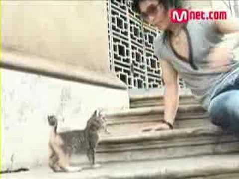Profilový obrázek - Sungmin play with kitten