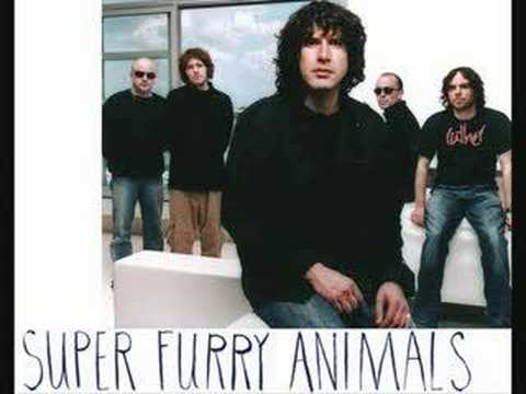 Profilový obrázek - Super Furry Animals - The man don't give a fuck