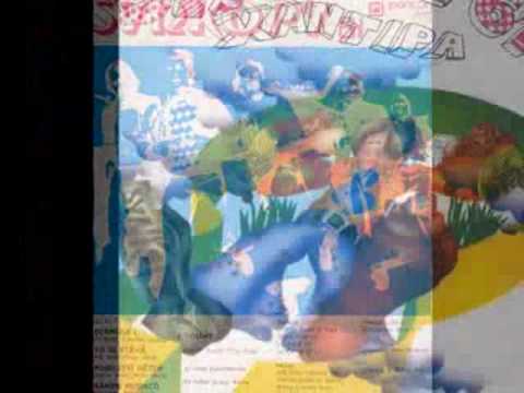 Profilový obrázek - Synkopy 61 & Oldřich Veselý - Černý racek