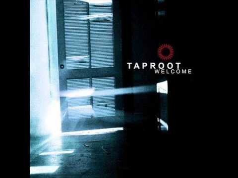 Profilový obrázek - Taproot - When