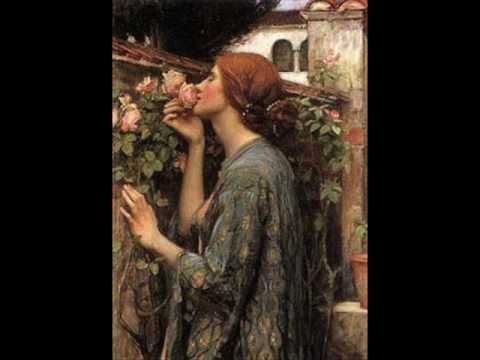 Profilový obrázek - The Arthurian Legend (Blackmore's Night - Ghost Of A Rose)