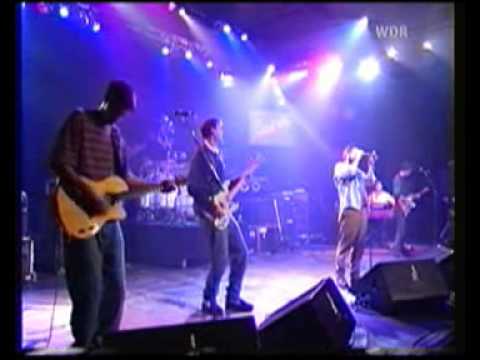 Profilový obrázek - The Connells - ´74 ´75 (live in Germany, 07.04.95)