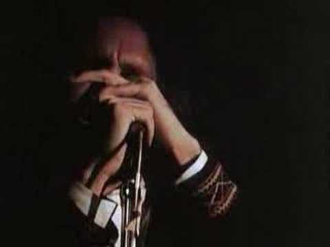 Profilový obrázek - The Doors ("rare" at the Isle of the Wight Festival part1)
