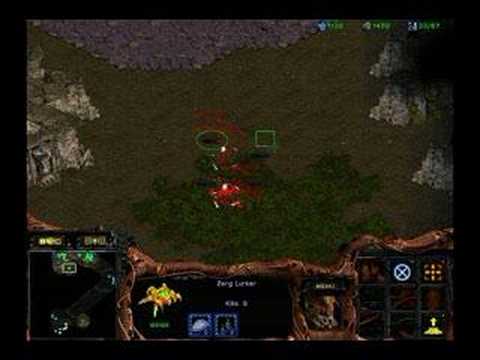 Profilový obrázek - The Essentials 02: Hold Lurkers