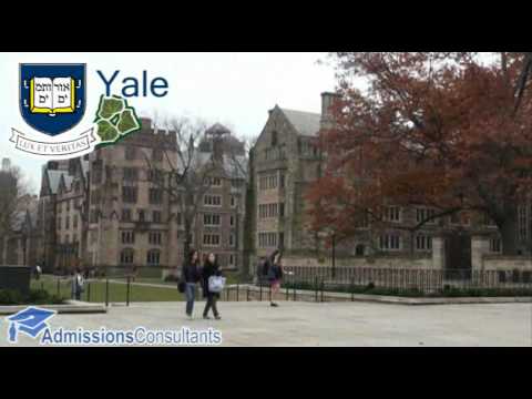 Profilový obrázek - The Ivy League Colleges