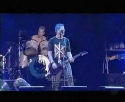 Profilový obrázek - The Offspring - What happened to you? summersonic 2002