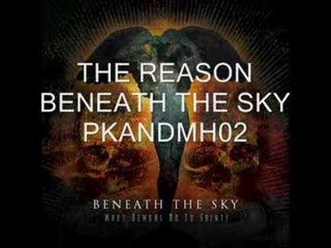 Profilový obrázek - The Reason - Beneath The Sky