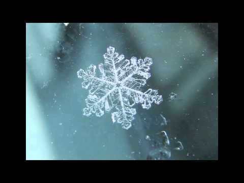 Profilový obrázek - The Russian Futurists - Its Not Really Cold When It Snows