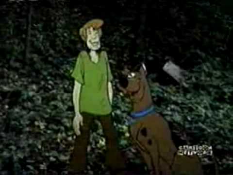 Profilový obrázek - The Scooby Doo Project
