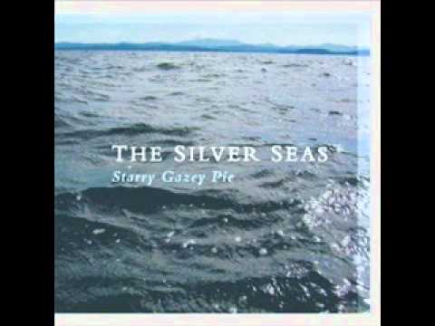 Profilový obrázek - The Silver Seas - It's Only Gravity (The Bees)