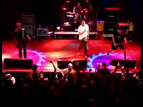 Profilový obrázek - The Vandals - I've Got An Ape Drape (Live At The House Of Blues 2004 - The Show Must Go Off!)