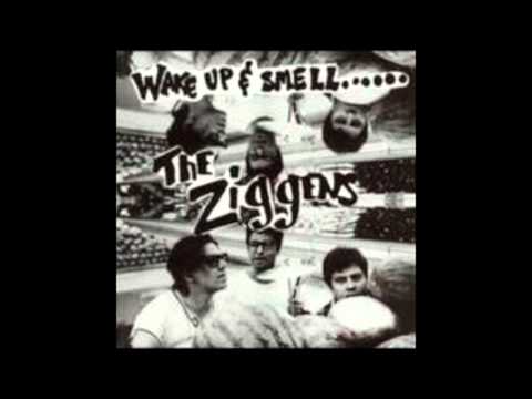 Profilový obrázek - The Ziggens - All the Fun That We Missed