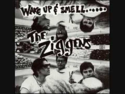 Profilový obrázek - The Ziggens - Big Salty Tears - Original Version