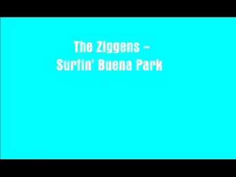 Profilový obrázek - The Ziggens - Surfin' Buena Park