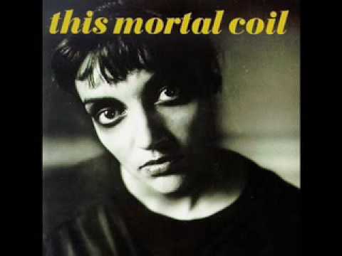 Profilový obrázek - This Mortal Coil - The Last Ray