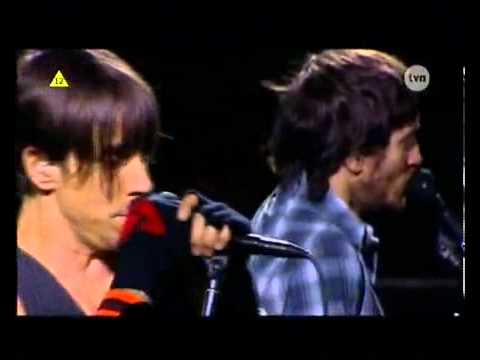 Profilový obrázek - This Velvet Glove with Josh Klinghoffer in Chorzow Poland 03.07.2007 Red Hot Chili Peppers RHCP