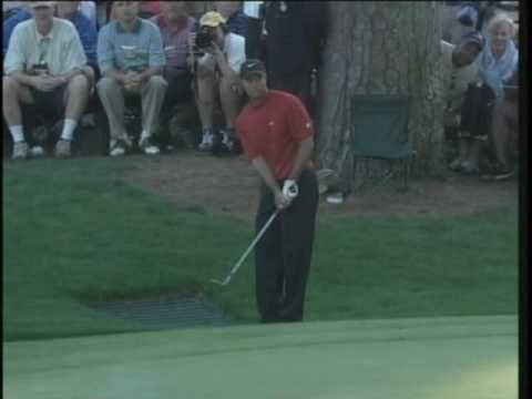 Profilový obrázek - Tiger Woods Chip at the 2005 Masters