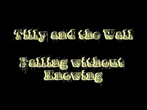 Profilový obrázek - Tilly and the Wall - Falling without Knowing