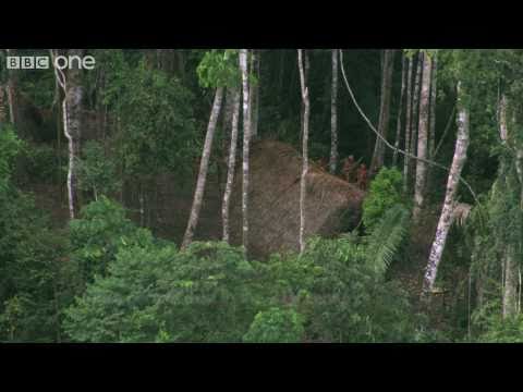 Profilový obrázek - Uncontacted Tribe - Human Planet: Jungles - BBC One
