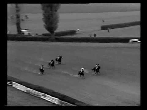 Profilový obrázek - Velká Pardubická 1991 - Grand steeplechase in Pardubice.Full race - Old Taxis. 