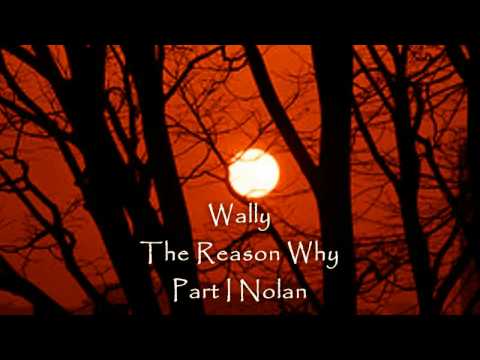 Profilový obrázek - Wally - The Reason Why (Part I Nolan)