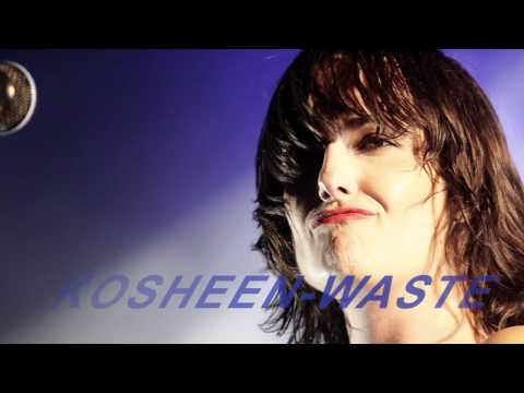 Profilový obrázek - Waste (KosheenDjs Remix)2011