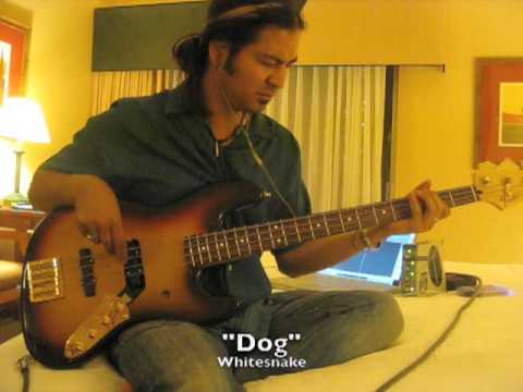 Profilový obrázek - Whitesnake Bassist Uriah Duffy Rehearses "DOG" on Custom Bass.