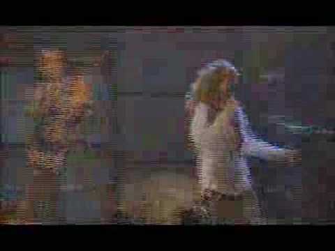 Profilový obrázek - Whitesnake DVD - 12 Cryin' In The Rain Part 2