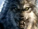 Profilový obrázek - Wolf Man Digital Paint... Time lapsed