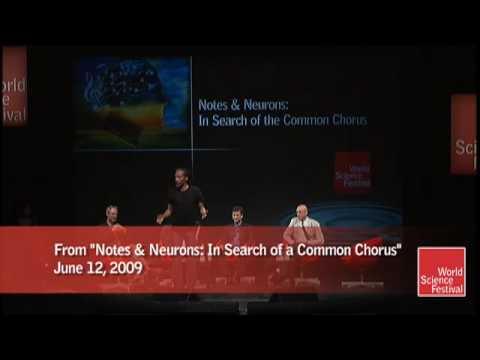 Profilový obrázek - World Science Festival 2009: Bobby McFerrin Demonstrates the Power of the Pentatonic Scale