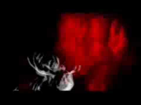 Profilový obrázek - Zero 7 - I Have Seen