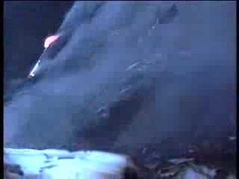 Profilový obrázek - Zero 7 "Waiting to Die"